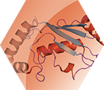Next-Gen Degraders: Glues & Conjugates Icon