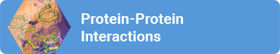 Protein-Protein Interactions