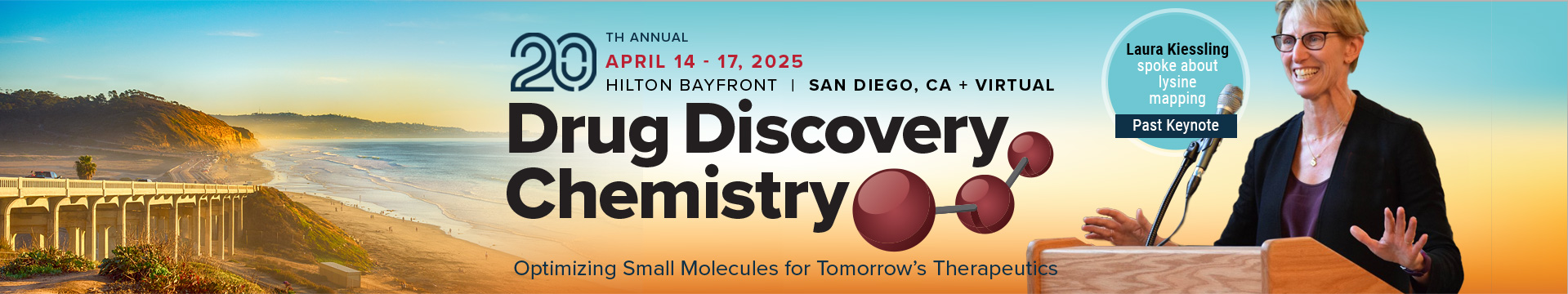 Drug Discovery Chemistry - 2025